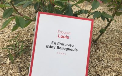 EN FINIR AVEC EDDY BELLEGUEULE